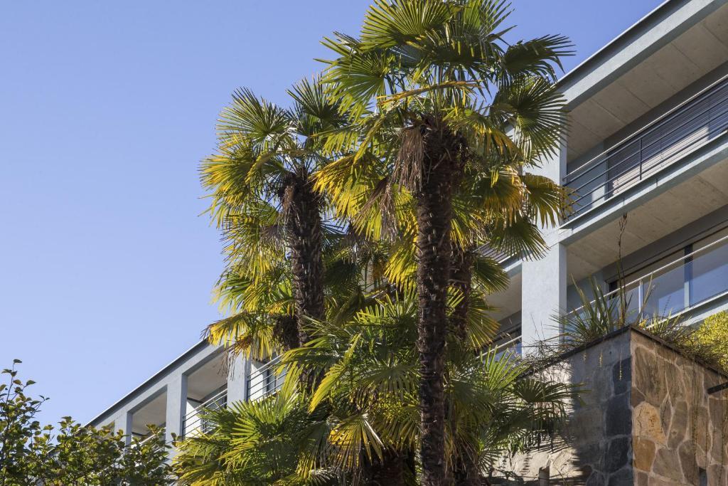 Hotel La Barca Blu Muralto Exteriér fotografie